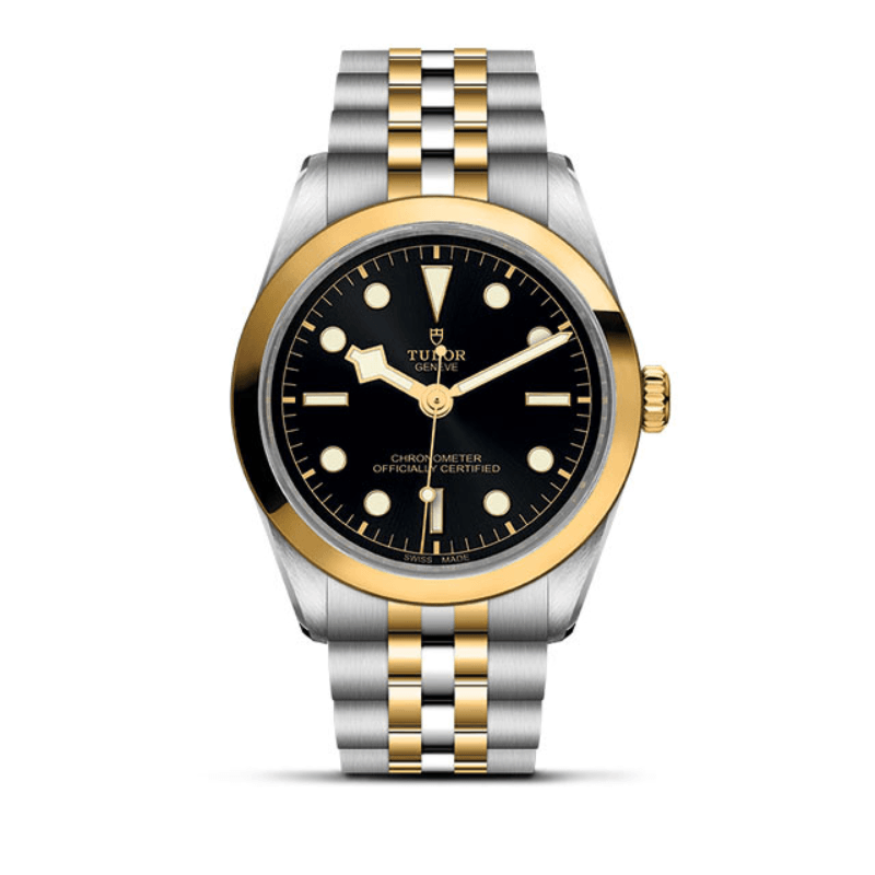 TUDOR Black Bay 36 S&G (#M79643-0001)